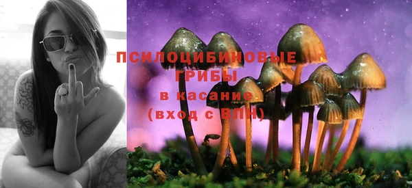 spice Баксан