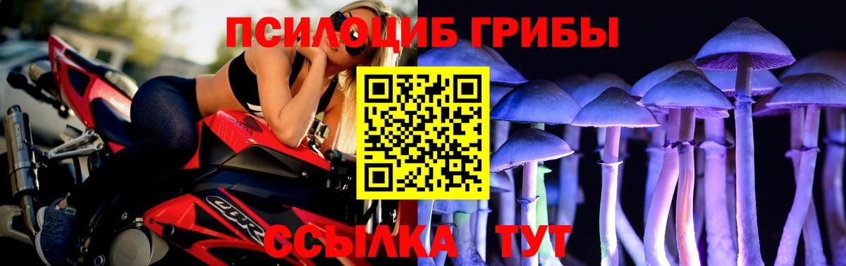 Галлюциногенные грибы MAGIC MUSHROOMS  Вход с VPN  Вятские Поляны 